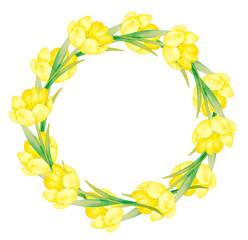 Illustration of watercolor hand drawn round frame with tulips flowers isolated on white background. Botanical art, woman's day, festive greeting card, mother's day wallpaper, wedding invitation.