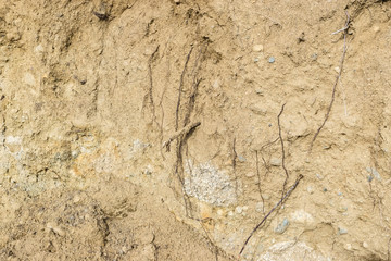Dirt, roots, and stone background with room for copy text