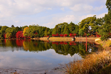 中津市大貞の紅葉
