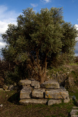 Rovine Archeologiche dell'antica citt&agrave; di Troia