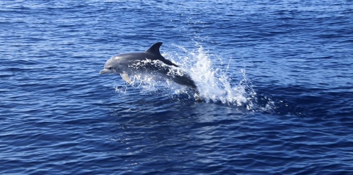 belleza en el oceano