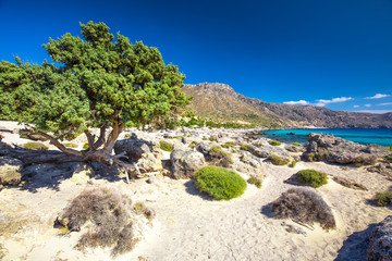 Kedrodasos beach near Elafonissi beach on Crete island with azure clear water, Greece, Europe