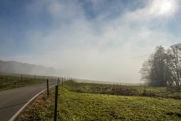 the fog clears over a road in the Black Forest and the sun shines on a blue sky
