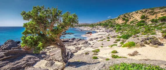 Photo sur Plexiglas  Plage d'Elafonissi, Crète, Grèce Plage de Kedrodasos près de la plage d& 39 Elafonissi sur l& 39 île de Crète avec de l& 39 eau claire azur, Grèce, Europe