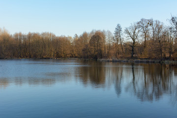 Naklejka na ściany i meble Forest Lake in the early spring