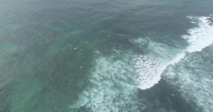 Aerial Top view from drone of surfers paddling for catching waves during surfing in the indian ocean,Srilanka