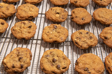 fresh cookies