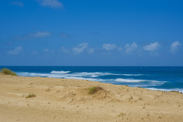 Fototapeta na wymiar beach in Puerto Rico