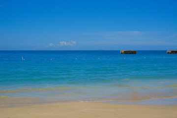 Fototapeta na wymiar beach in Puerto Rico
