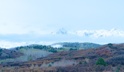 Fototapeta premium White snow capped peaks tower above dusted fall colored trees