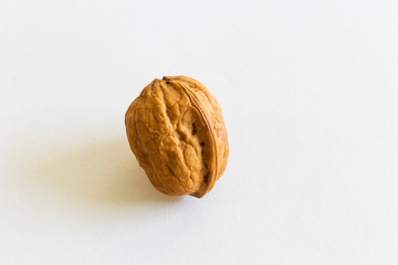 close up on walnuts with white background