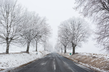 Obraz premium dangerous winter road