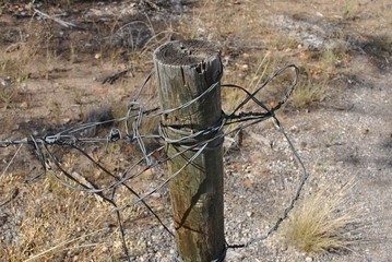 Barbed Wire Fence