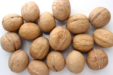 hazelnuts, hazelnut close-up  on a white background, ripe healthy food