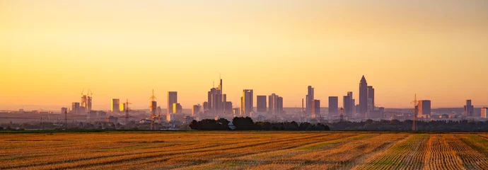 Papier Peint photo Panoramique Panoramic view of Skyline Frankfurt Main, Germany