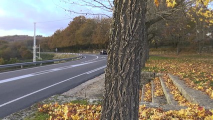 PANORAMA FROM PARK TO ROAD