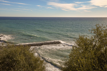 View of the Mediterranean Sea with stone pier and olive trees, Cervo Ligure, Liguria, Italy