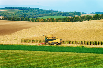 Fototapeta premium Combine doing agricultural harvesting wor