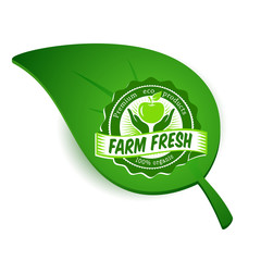 Eco organic bio food leaf logo
