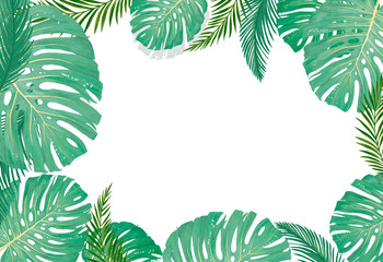 tropical botanical plants, background with leaves of coconut and banana design card jungle leaf on white background - obrazy, fototapety, plakaty