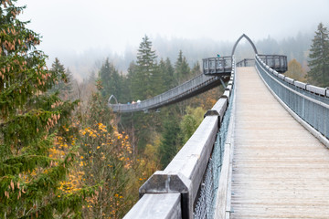 Obraz premium baumkronenweg Ziegelwies amusement park in Füssen