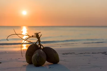 Crédence de cuisine en verre imprimé Plage de Nungwi, Tanzanie Noix de coco sur la plage de Zanzibar au coucher du soleil