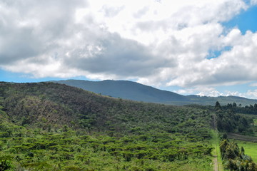 The volcanic landscapes of Naivasha, Rift Valley, Kenya