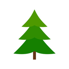 Fir tree