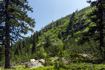 Landscape from hiking trail for Malyovitsa peak, Rila Mountain, Bulgaria