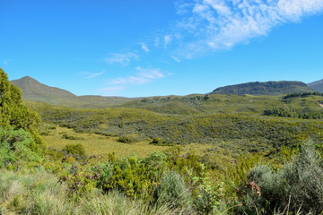 Obraz premium High altitude moorland against a mountain background and blue sky, Mount Kenya National Park, Kenya