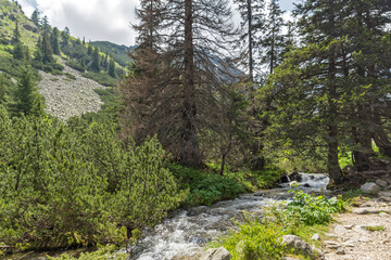 Obraz premium Landscape from hiking trail for Malyovitsa peak, Rila Mountain, Bulgaria