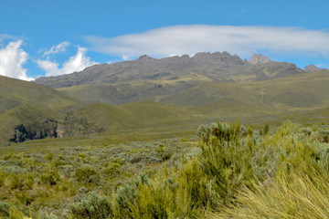 Fototapeta na wymiar High altitude moorland against a mountain background and blue sky, Mount Kenya National Park, Kenya