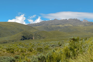 High altitude moorland against a mountain background and blue sky, Mount Kenya National Park, Kenya