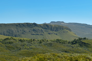 High altitude moorland against a mountain background and blue sky, Mount Kenya National Park, Kenya