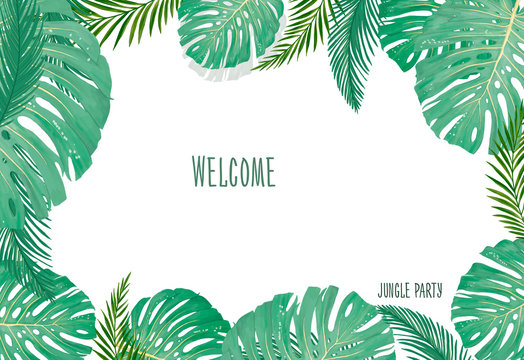tropical botanical plants, background with leaves of coconut and banana design card jungle leaf on white background