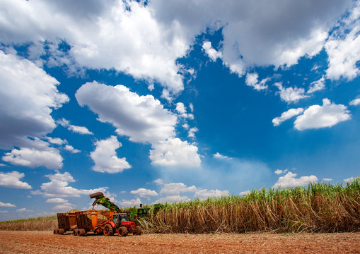 Sugarcane harvester harvesting crops against cloudy sky at farm during sunny day