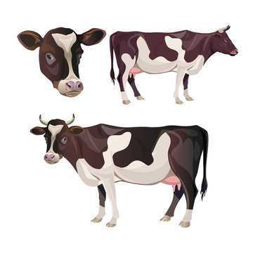 Cow set vector