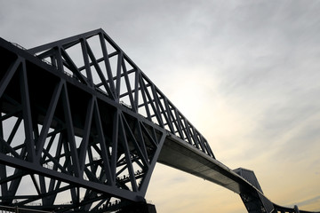 Unified Tokyo Gate Bridge with cool colors