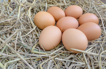 Group chicken eggs on straw with wooden .Fresh eggs from farm for cooking