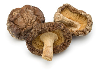 Dried Shiitake Mushroom isolated on white background