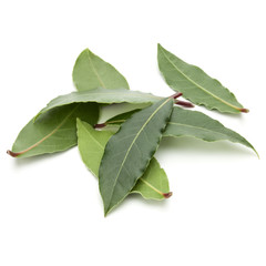 Aromatic bay leaves