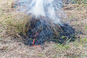 Closeup arson and burned dry grass background