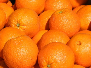 Beautiful juicy fresh Oranges