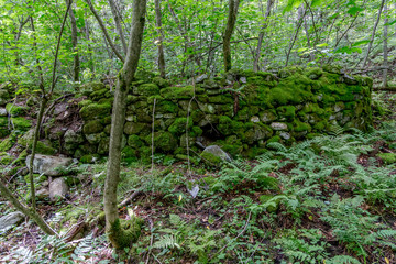 Obraz premium Gully Brook Charcoal Kiln