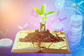 The trees are growing on coin money in glass jars. Saving money for future concept.