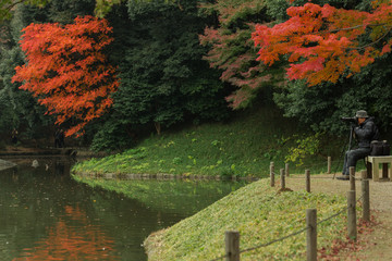 色鮮やかな日本の紅葉