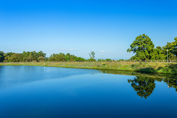Fototapeta na wymiar road view reservoir green tree and blue sky background.