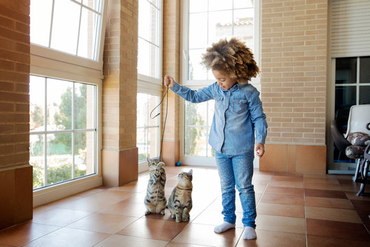 Girl Playing With Cats At Home