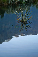 Quiet evening water reflection pool