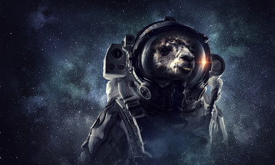 First trip to space. Mixed media